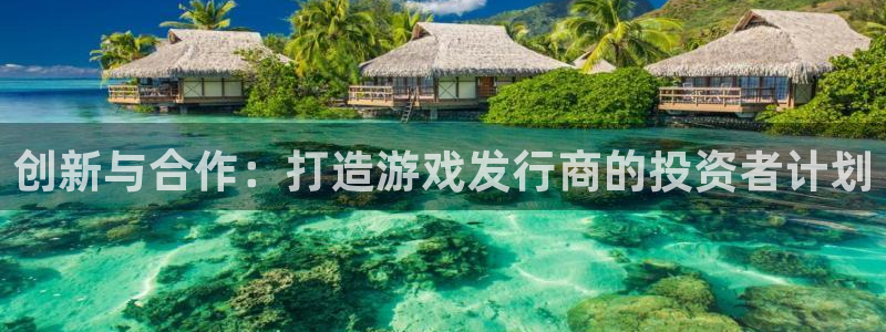 银河官网下载分分彩：创新与合作：打造游戏发行商的投资者计划
