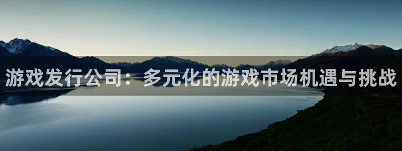 陕西银河(galaxy)子文化创意有限公司有什么游戏：游戏发行公司：多元化的游戏市场机遇与挑战