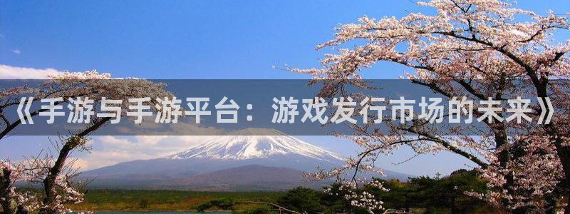 银河(galaxy)户外：《手游与手游平台：游戏发行市场的未来》