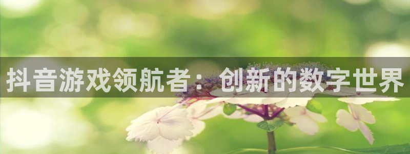 银河官网注册登录