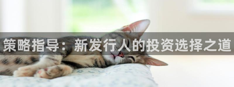 银河官网平台代理开号怎么开