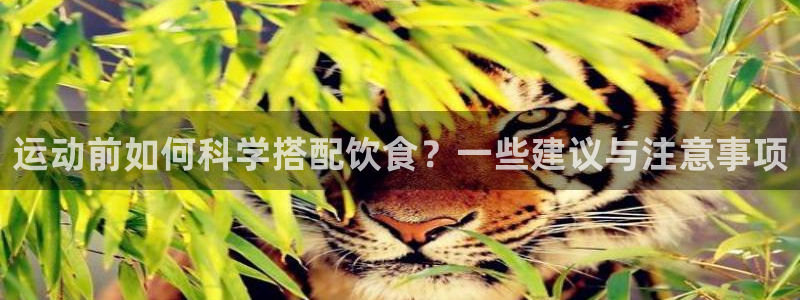 xc体育app官方网站