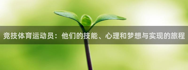 xc体育app官方网站