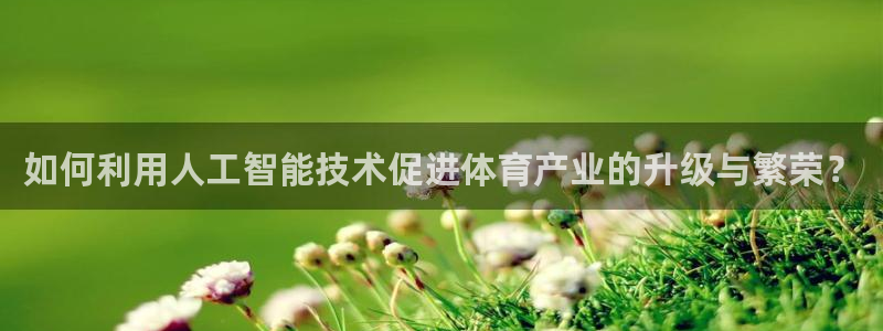 xc体育