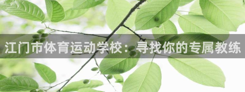 xc体育