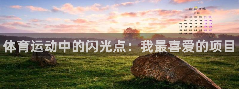 xc体育app官方网站