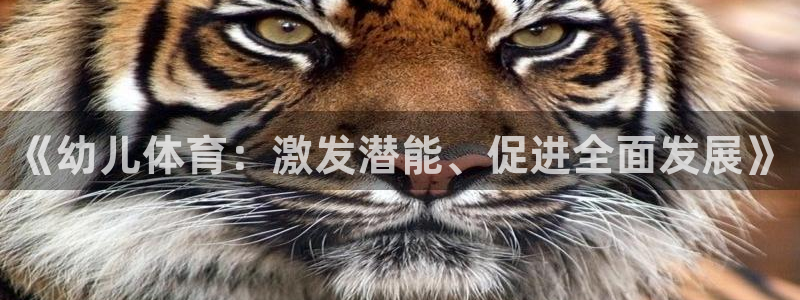 xc体育