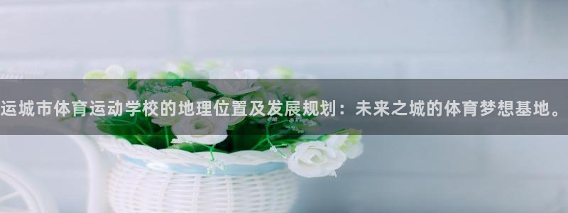 xc体育app官方网站