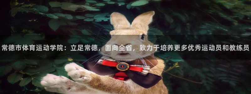 xc体育