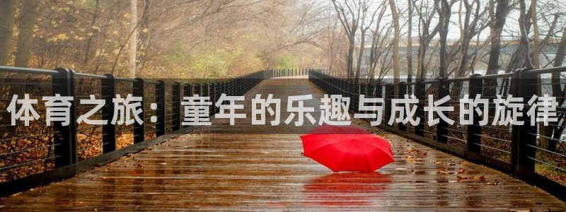 xc体育app官方网站