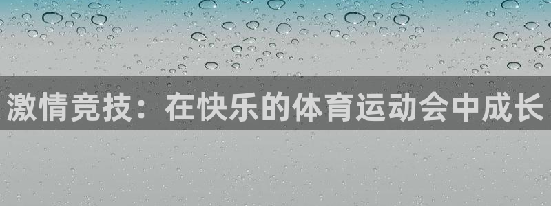 xc体育app官方网站