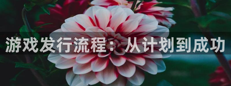 银河官网注册方法视频下载：游戏发行流程：从计划到成功